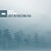 Lost in Freezing Fog (Brickman Remix)