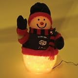 NCAA Florida Gators Fiber Optic Snowman 16