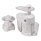 Double-Up Biggest Loser Fruit and Vegetable Processor and Juicer