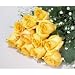 One Dozen Long Stemmed Premium Yellow Roses