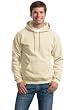 Gildan Heavyblend Hooded Sweatshirt