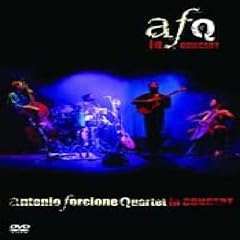 In Concert [DVD]