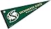 College Flags & Banners Co. Sacramento State Pennant Full Size Felt