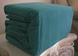 MARRIKAS HEAVYWEIGHT FLANNEL SHEET SET QUEEN TEAL