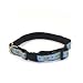 Paisley Cat Collar - 10L