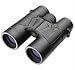 Leupold 111741 Green Ring Binoculars BX-2 Cascades 10x42mm Roof Black