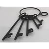 A13 IR8012 Dungeon Keys