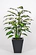 House of Silk Flowers Artificial Camille Diffenbachia Floor Plant in Zinc 28"w x 48"h
