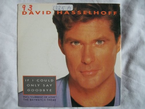 David Hasselhoff Photo 4
