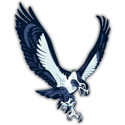 Seattle Seahawks NFL Football car bumper sticker 4