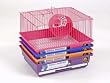PH 2000 HAMSTER PASTEL CG 4PK