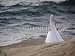 Wallmonkeys Peel and Stick Wall Decals - Bride on the Edge of Ocean - Removable Graphic