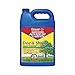 Bayer Crop 502805A Tree & Shrub Insect Control Concentrate (Gallon)