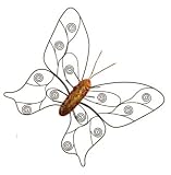 Butterfly Indoor/Outdoor Wall D&eacute;cor