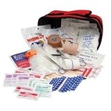 Buy Lifeline Team Sports - 65 Pieces