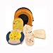 First Voice HST01 HeartSine AED Trainer