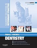 Small animal dentistry