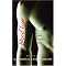 Erotic Horror - Vamps and other Creatures of the Night
