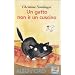 Un gatto non � un cuscino