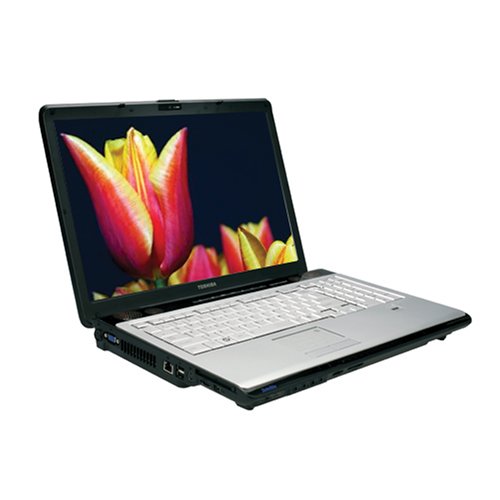Toshiba Satellite X205-SLI5 17-inch Laptop (2.4 GHz Intel Core 2 Duo T8300 Processor, 3 GB RAM, 320 GB Hard Drive, DVD Drive, Vista Premium) image
