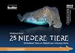 25 Niedere Tiere: Wirbellose Tiere im Mittelmeer inklusive Adria
