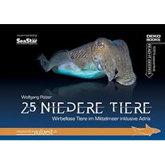 25 Niedere Tiere: Wirbellose Tiere im Mittelmeer inklusive Adria