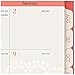 AT-A-GLANCE Academic Year Weekly/Monthly Planner/Appointment Book, July 2016 - June 2017, 8-1/2