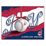 CLEVELAND INDIANS 7 by 10 Team Logo CHRISTMAS / HOLIDAY CARDS (Box of 21) with Envelopes