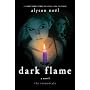 Dark Flame by Alyson No�l