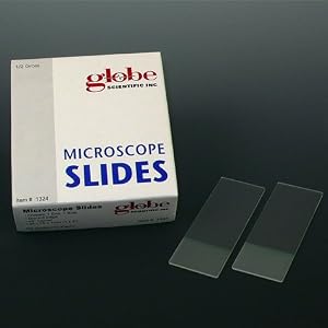 Microscope Slides Frosted - Beveled Edges, Clipped Corners