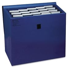 Wilson Jones ColorLife Insertable Tab Expanding File with Flap and Gripper Velcro Closure, 17 Inch Expansion, 21 Pockets, 10 x 12 Inches, Dark Blue (W23280)