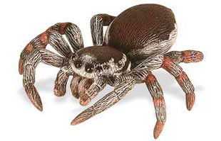 Childrens Toyshop  Toys : Jumping Spider, Hidden Kingdom