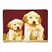 Dog Fleece Blanket - Style 37247