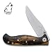 Tortoise Shell Folder Knife From Timber Wolf