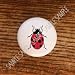 BUGS INSECTS #240087 LADYBUG DRAWER PULLS KNOBS