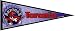 Toronto Raptors NBA Team Pennant
