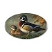 22x14 Oval Wall Vinyl Sticker Wood Ducks