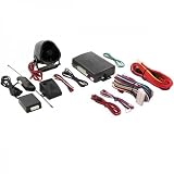 ALARM/REMOTE STARTER