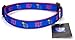 All Star Dogs Kansas Jayhawks Ribbon Dog Collar - Large