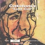 Lost Cat
