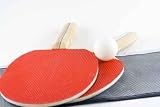 Table Tennis Bats, Ball and Net - 24