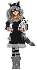 Lets Party By Fun World Sweet Raccoon Child Costume (8-10)