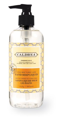 Caldrea Hand Soap Liquid, Citrus Mint Ylang Ylang, 11-Ounce Bottles (Pack of 6) by Caldrea