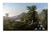 Camp In The Wilderness by William Louis Sonntag 34.00X23.38. Art Poster Print