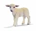 Spielwaren : Schleich 13285  - Bauernhof, Schäfchen, stehend