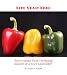 Live Yeast Free: "Free Yourself From the Hidden Dangers of a Yeast Laden Diet!"