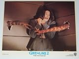 41erMXqf2kL. SL160  Gremlins 2 The New Batch: Movie Photo Print   8 x 10 inches   Zach Galligan, Phoebe Cates G2 4