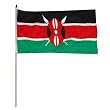 Kenya Flag 12 x 18 inch