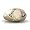 14K Yellow Gold Oval Genuine Opal Men's Men's Ring Size 7
