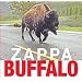 Buffalo